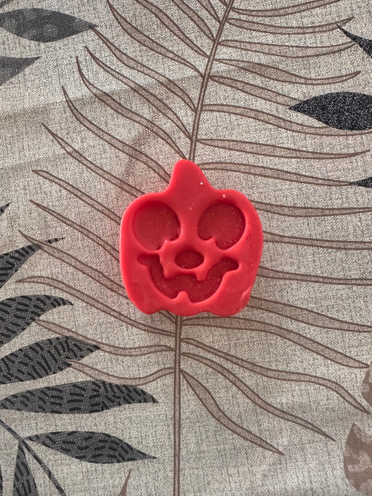 Citrouille visage ~ 50 g